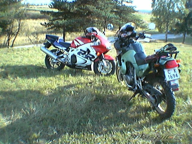 Photo 916733