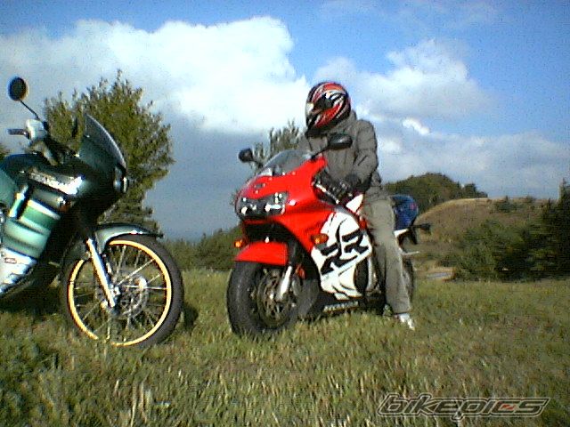 Photo 916742