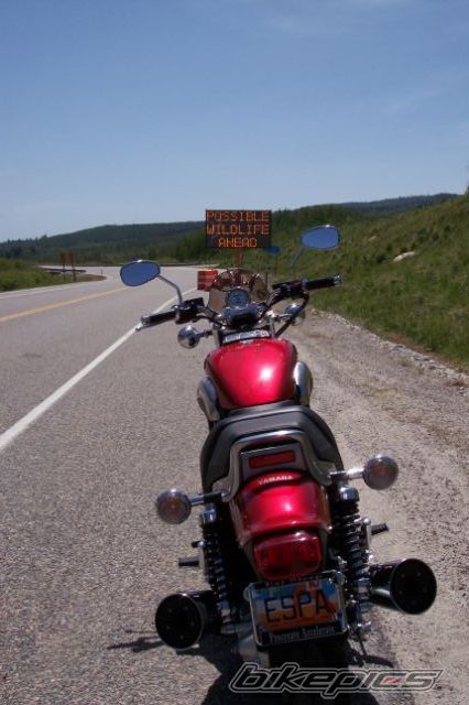 Photo 916836