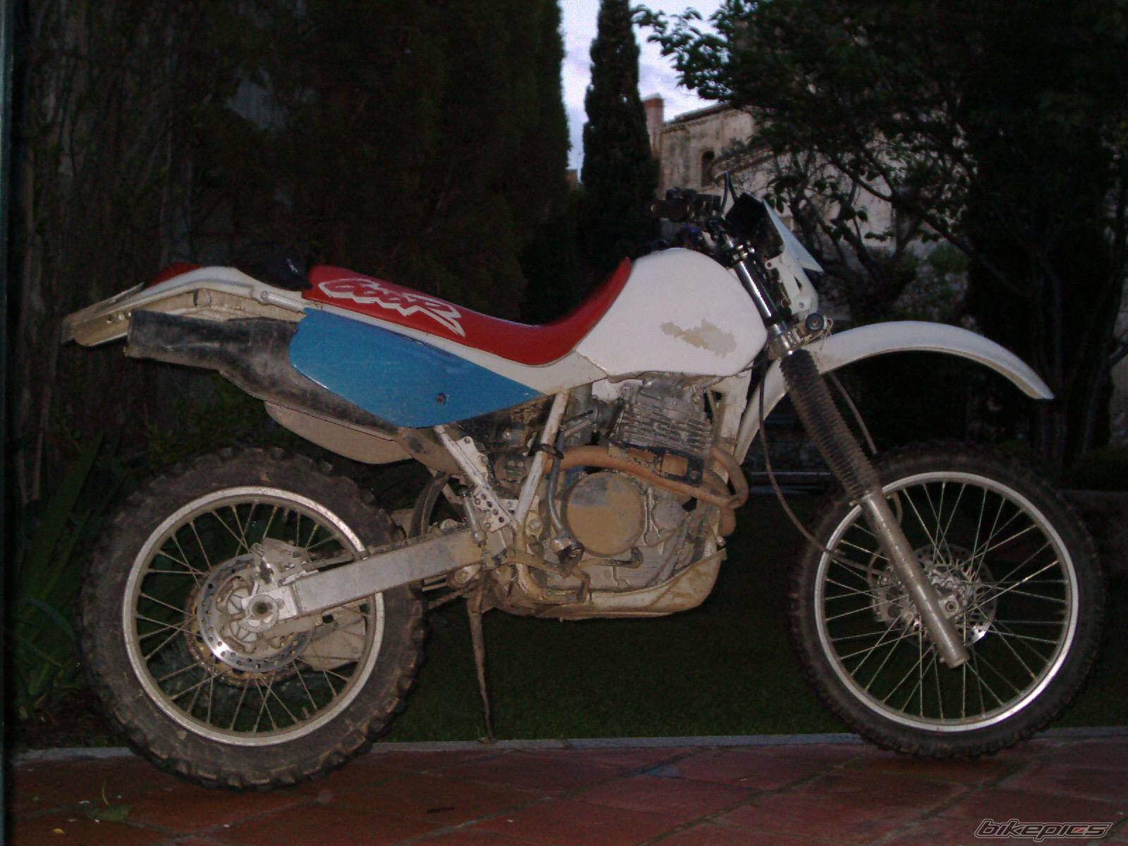 Bike Photo 91696