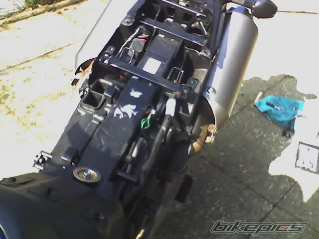 Photo 916969