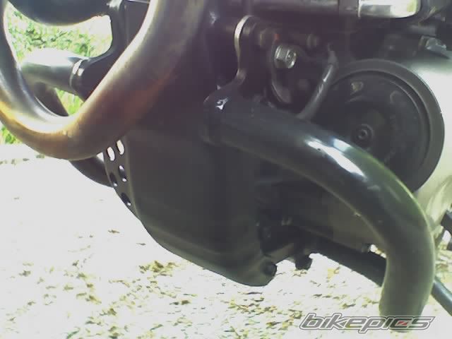 Photo 916986