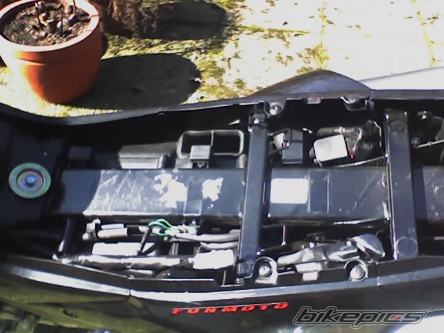 Photo 917009