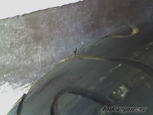 Photo 917013