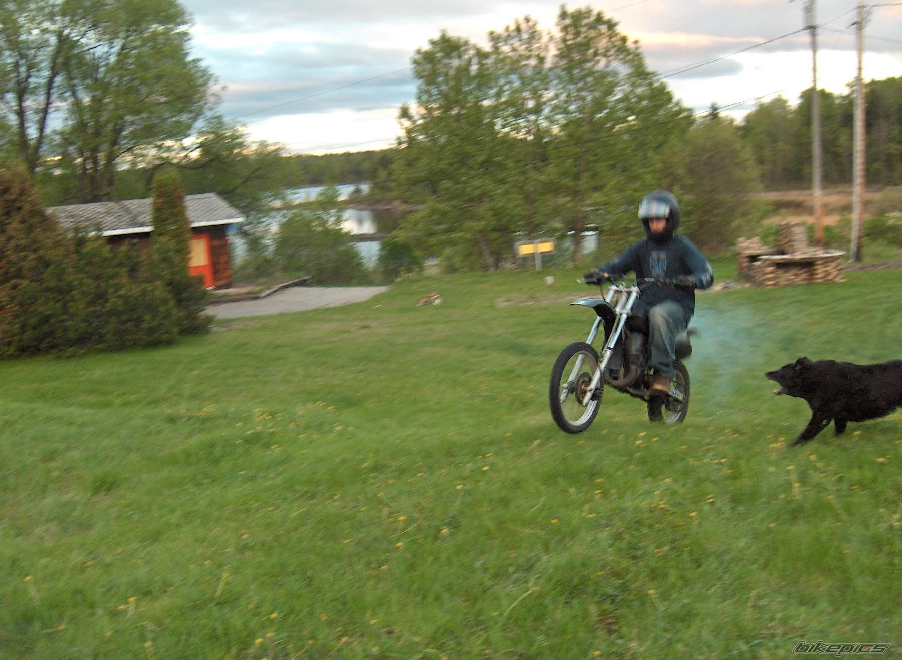 Photo 917188