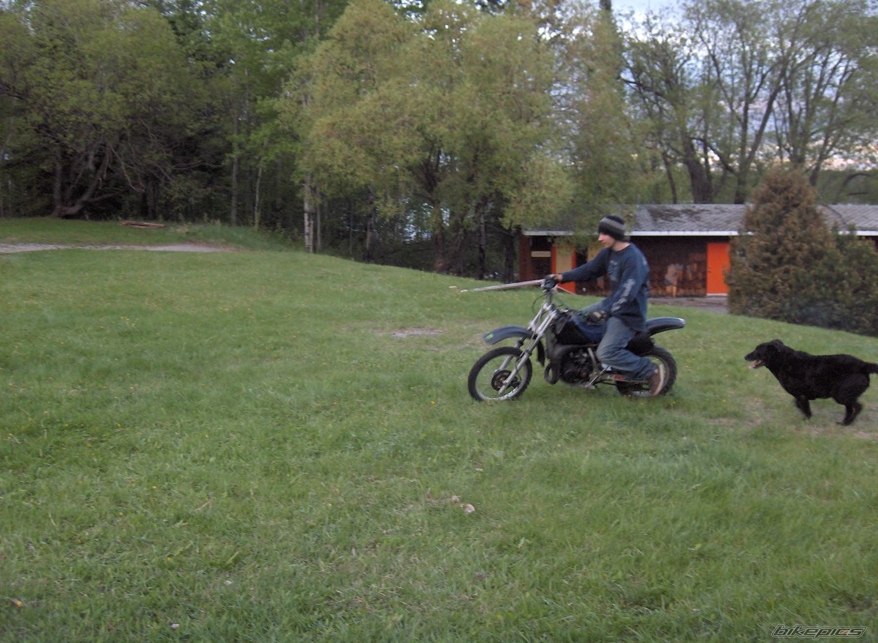Photo 917197