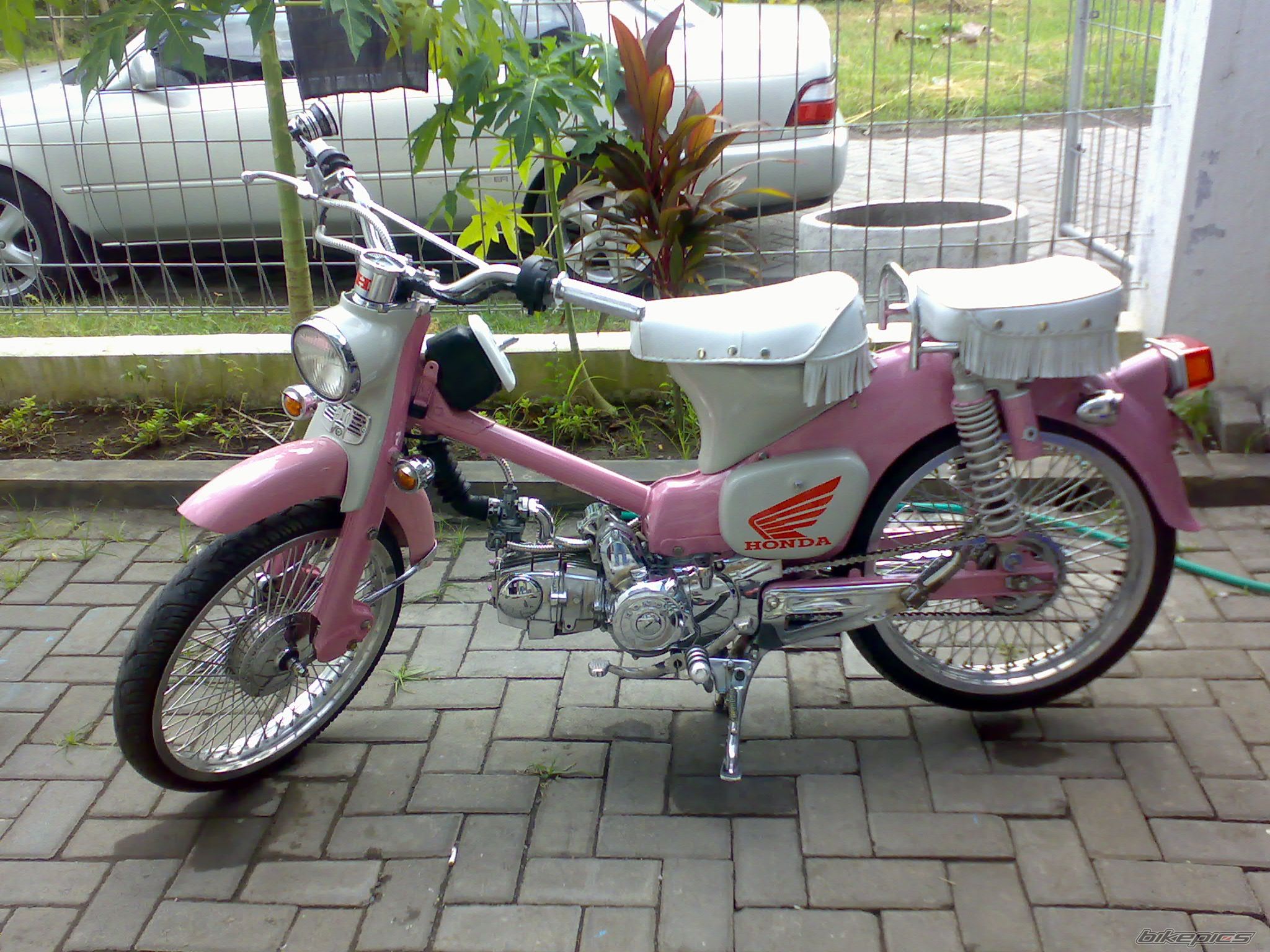 Photo 917218