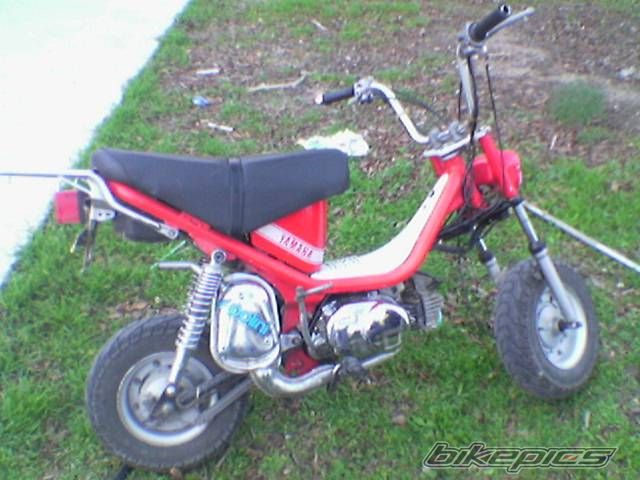 Bike Photo 917294