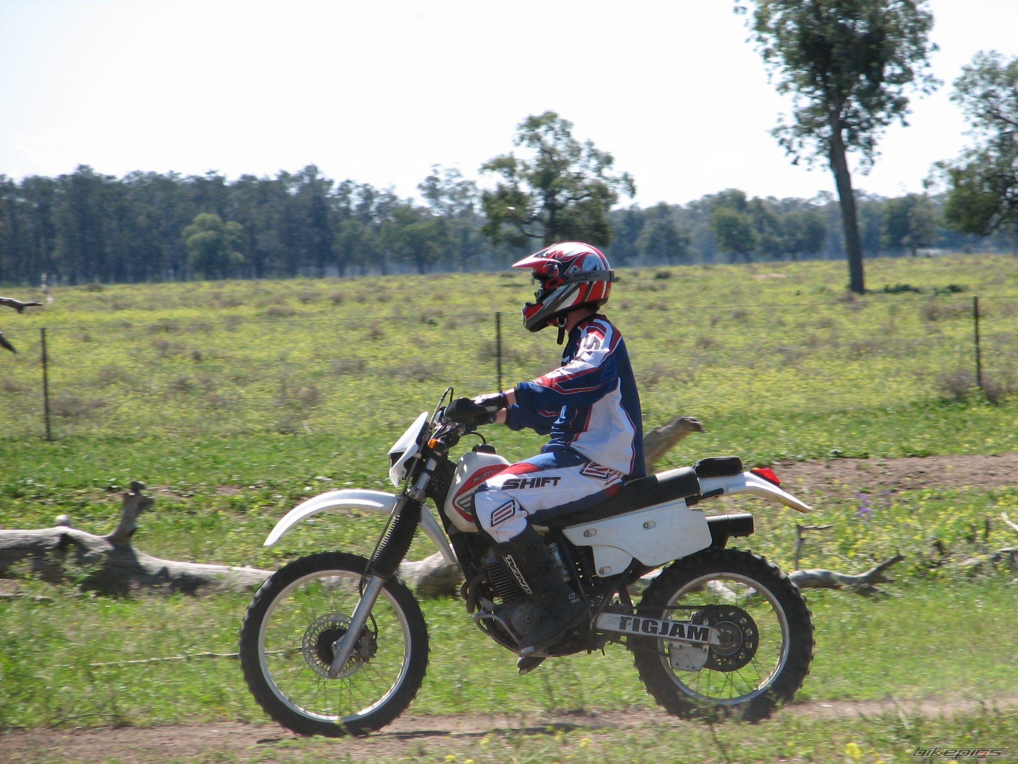 Photo 917368