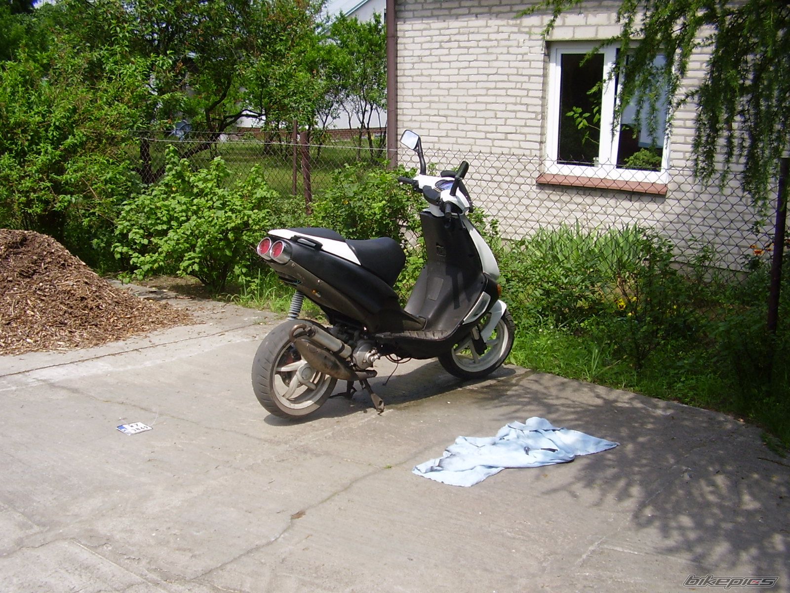 Photo 917372