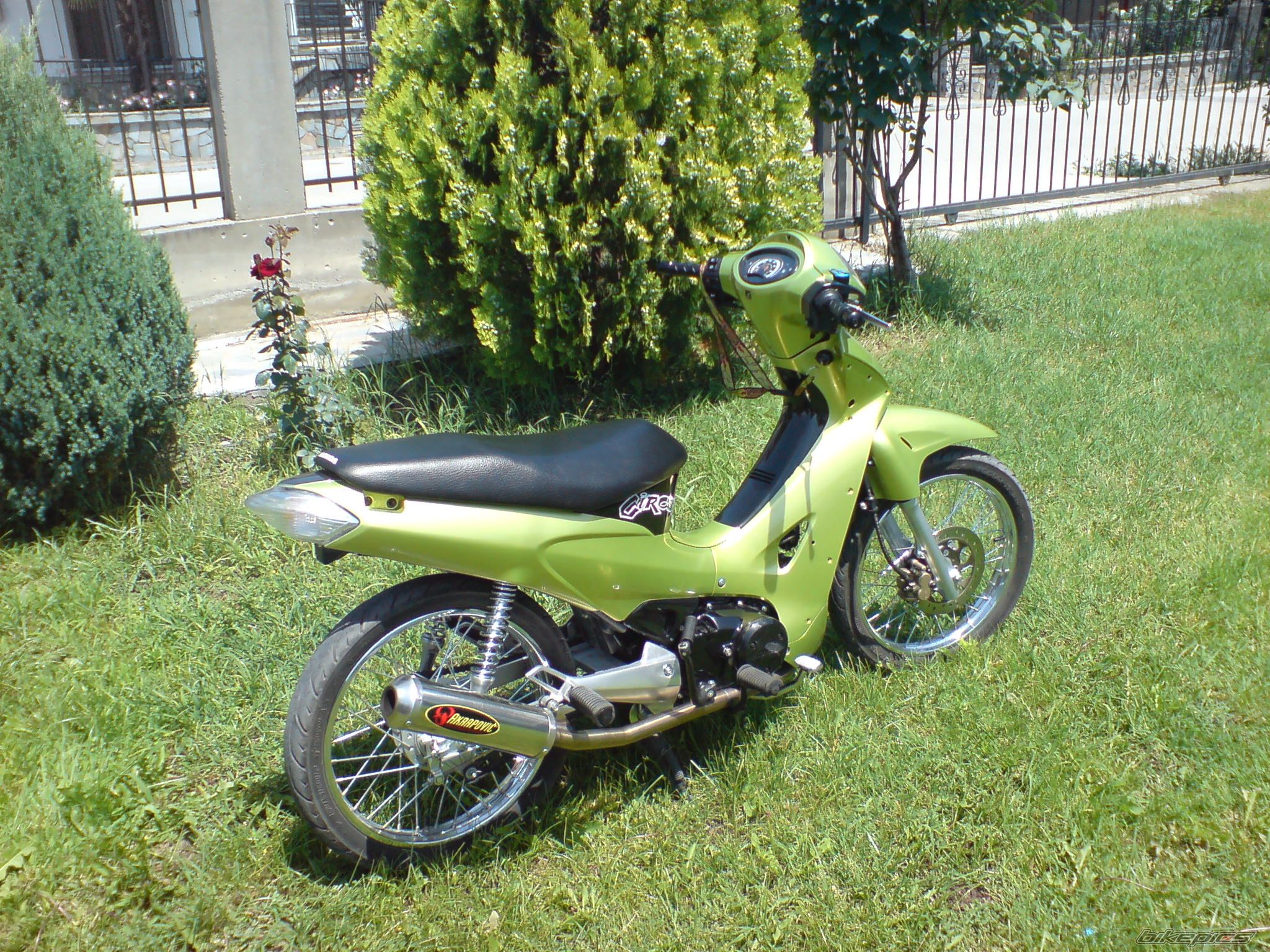 Photo 917375