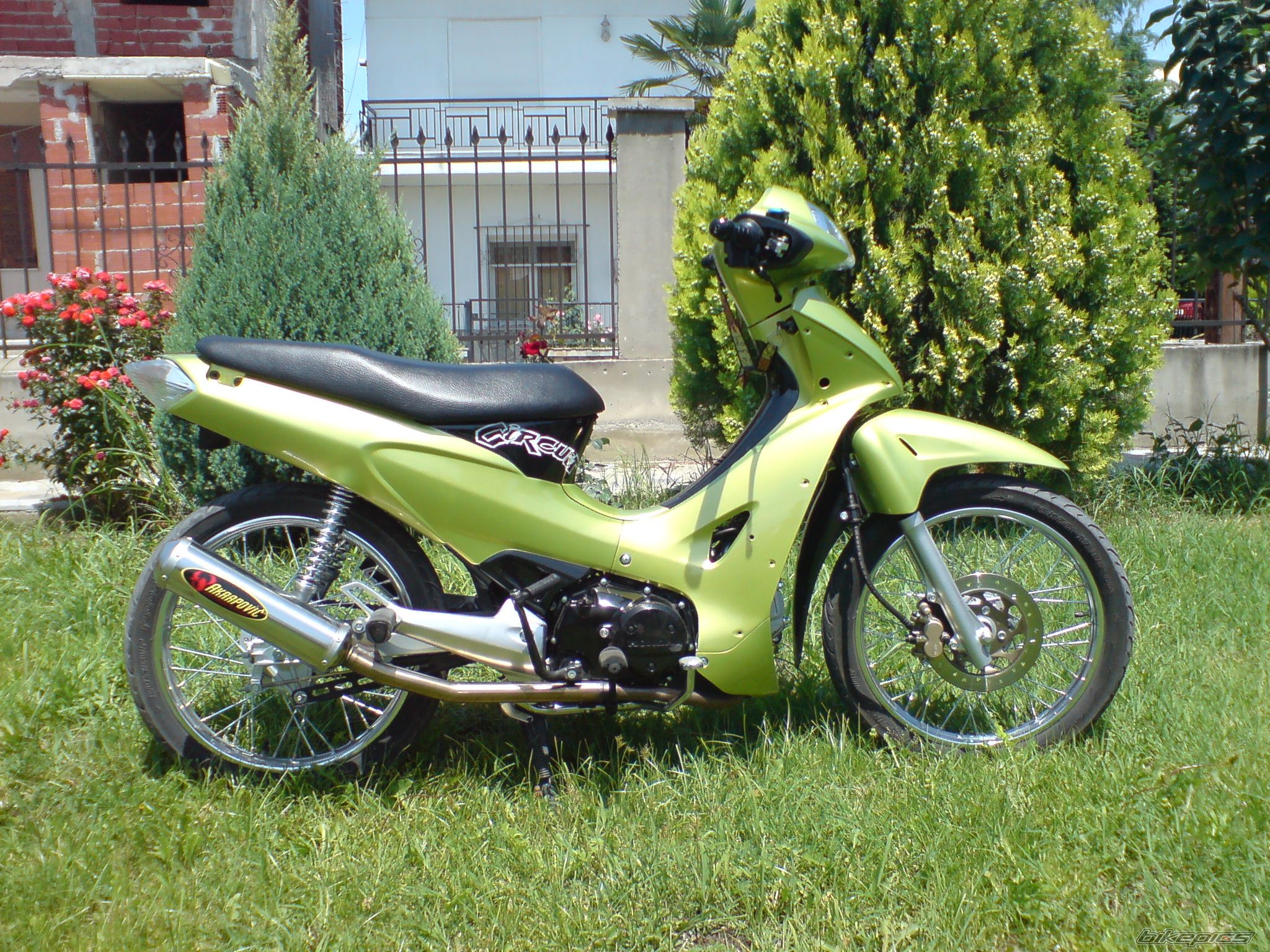 Photo 917376