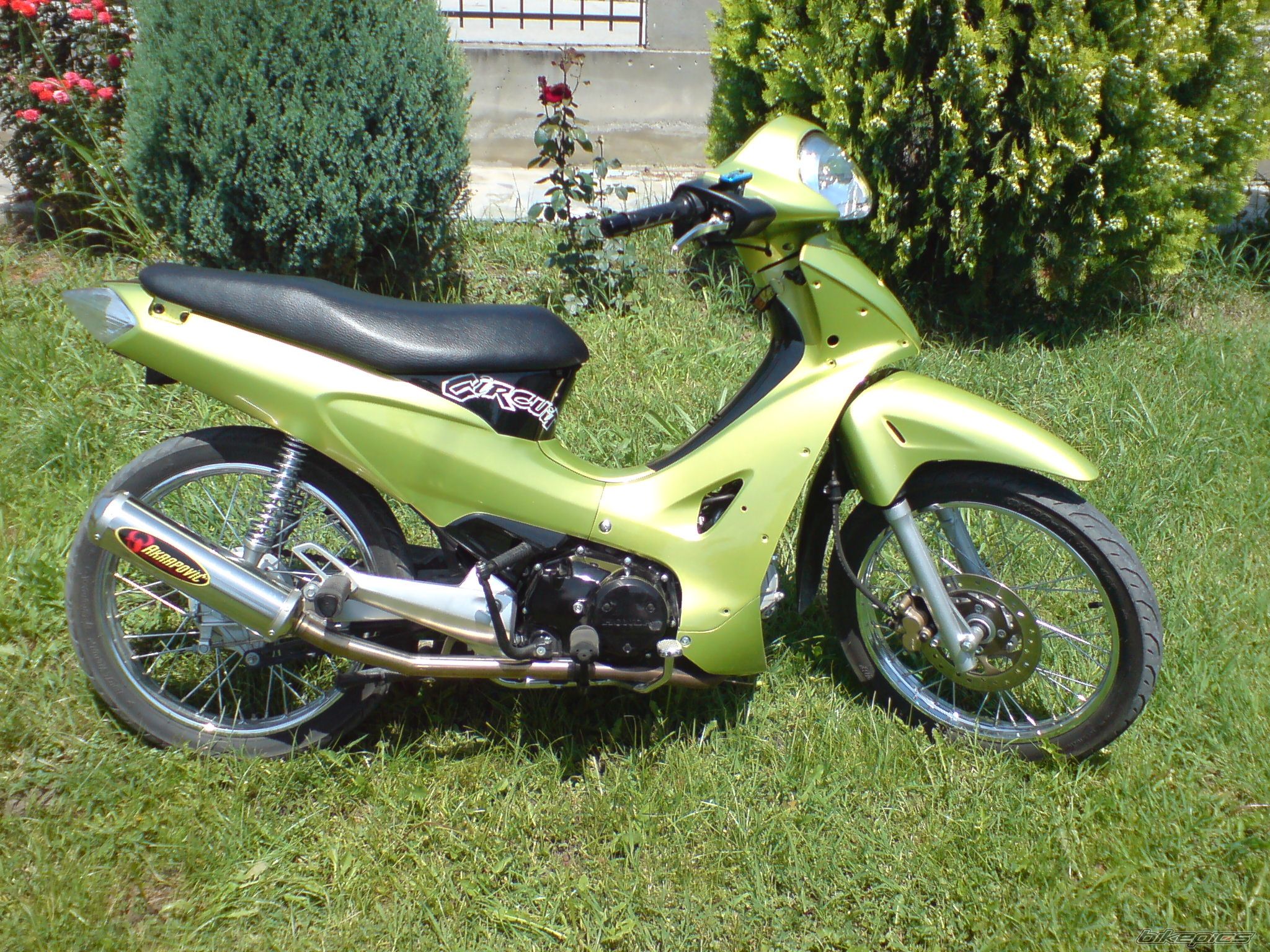 Photo 917378
