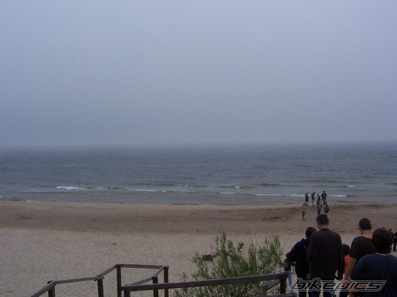 Photo 917491