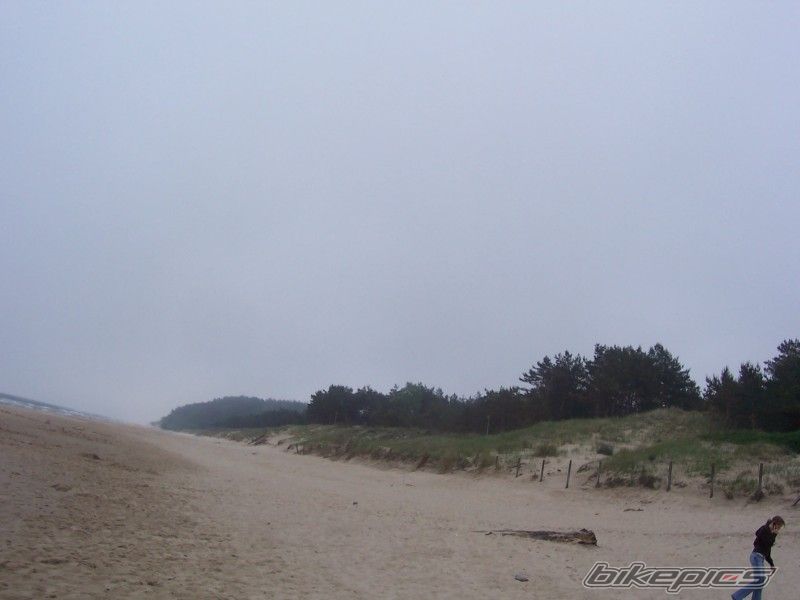 Photo 917507