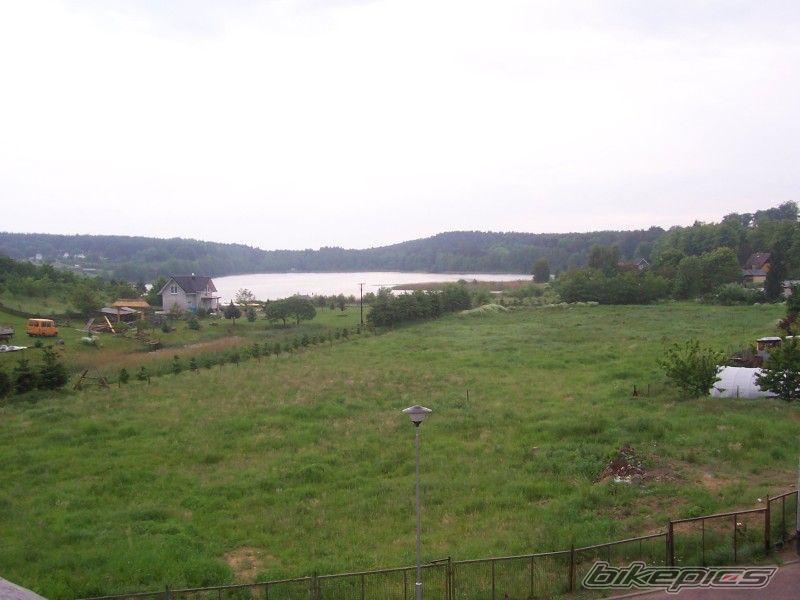 Photo 917533