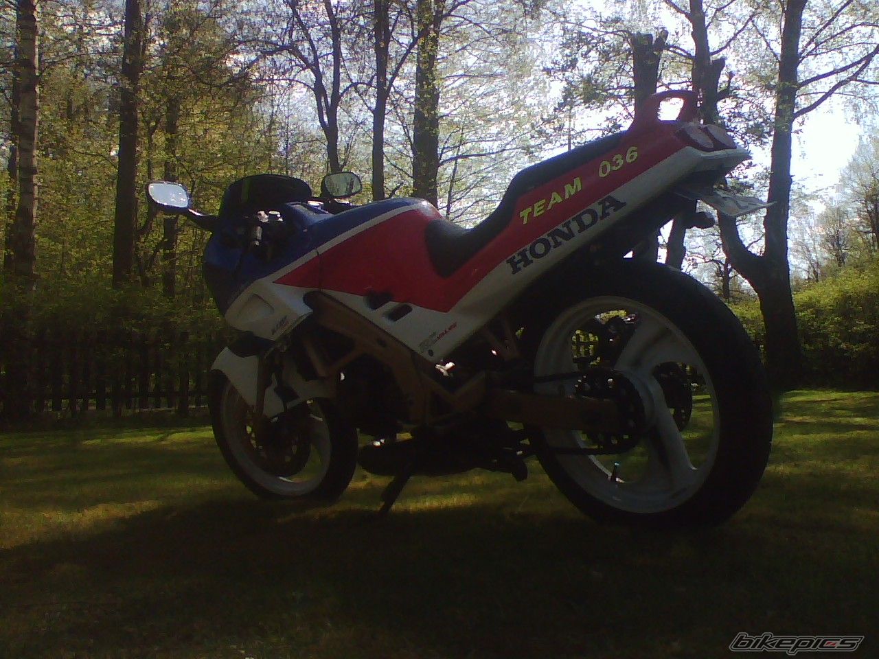 Photo 917591