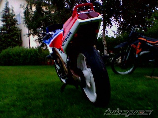 Photo 917594