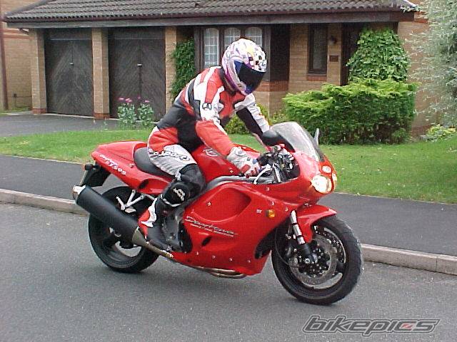 Photo 9176