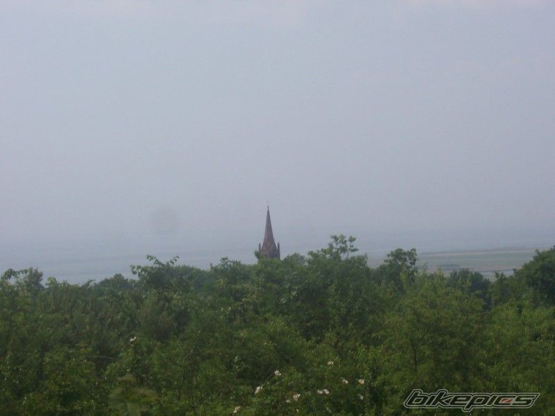 Photo 917608