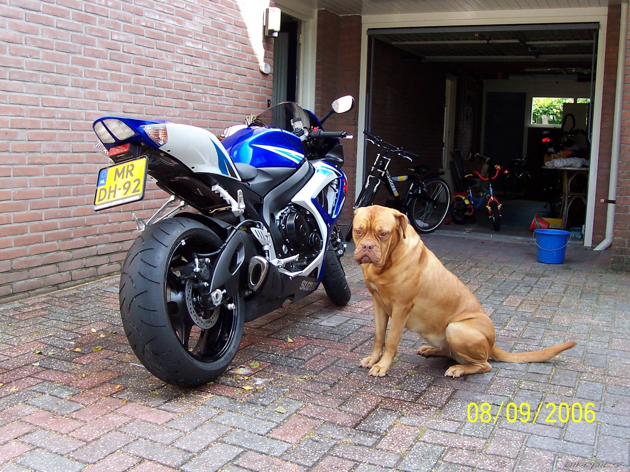Photo 917622