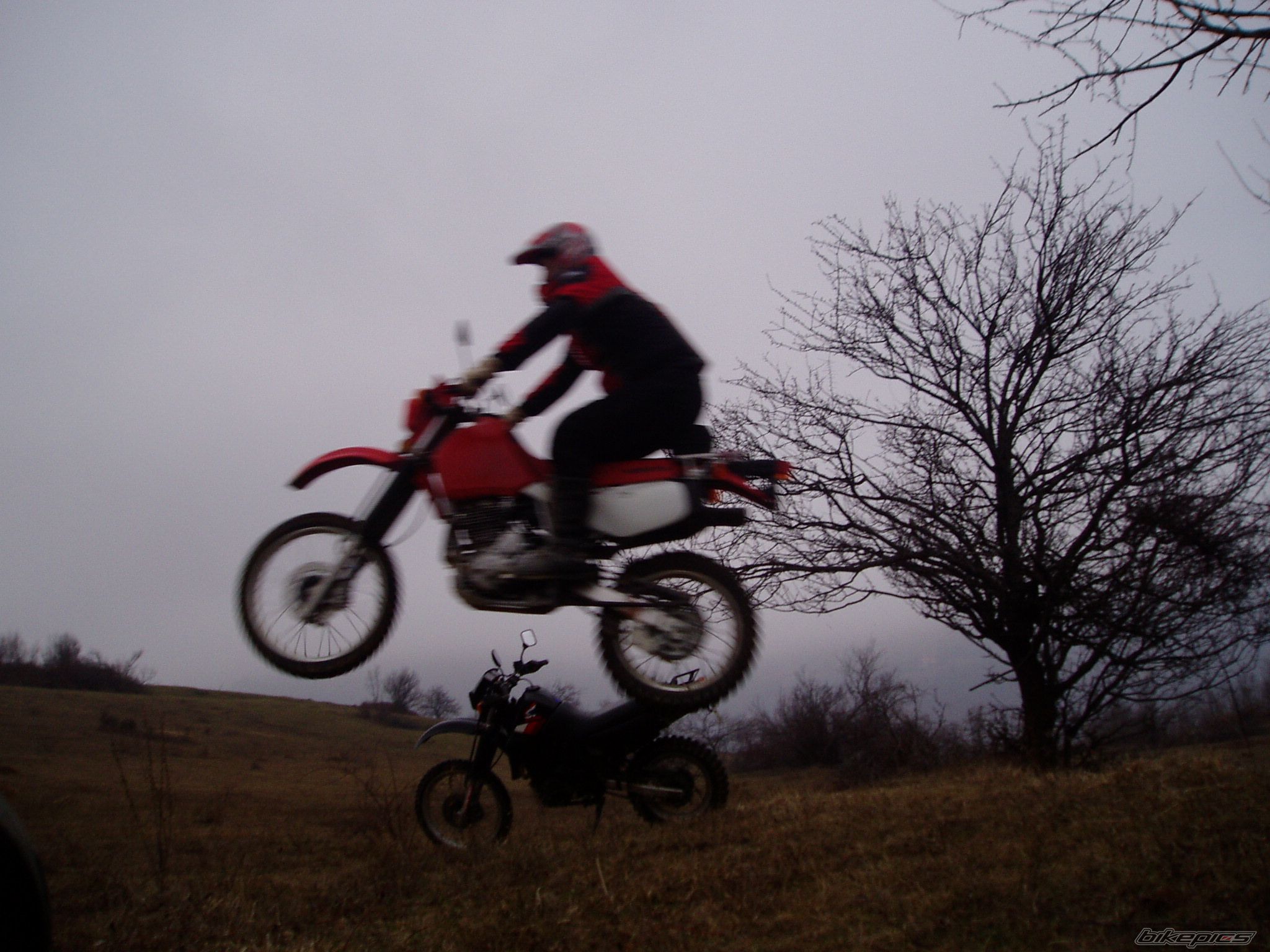 Photo 917710