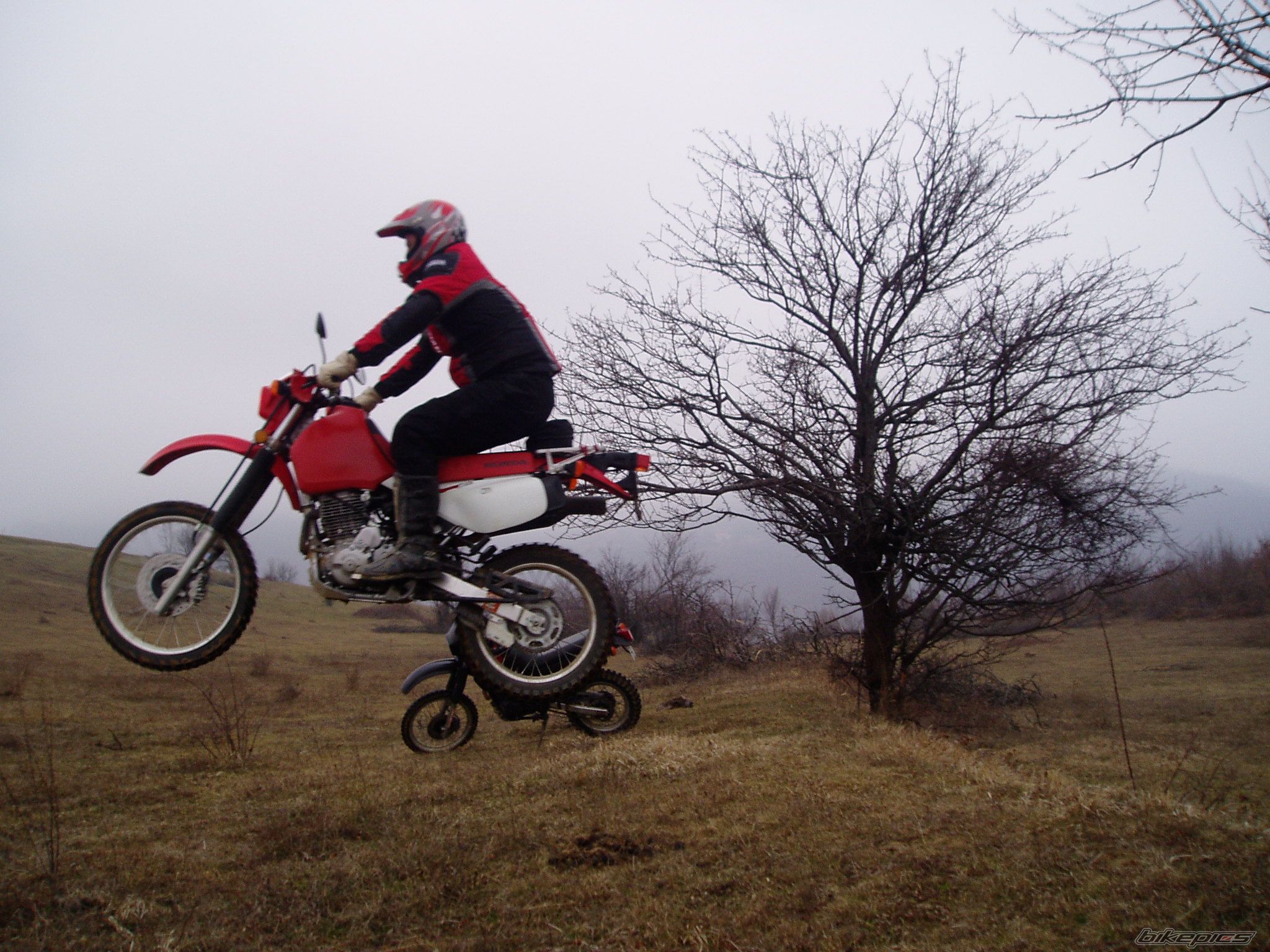 Photo 917712