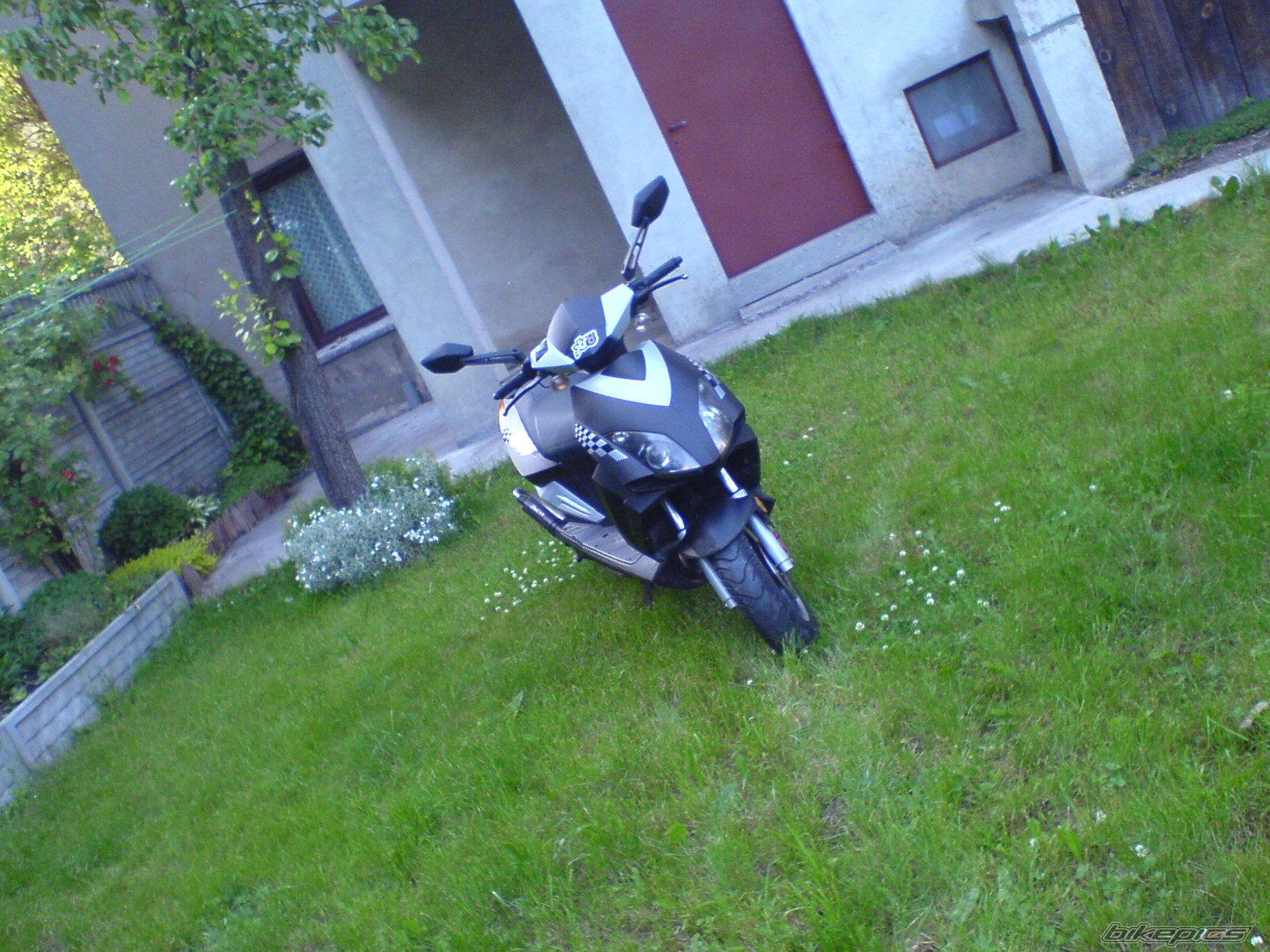 Photo 917795