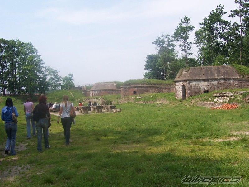 Photo 917831