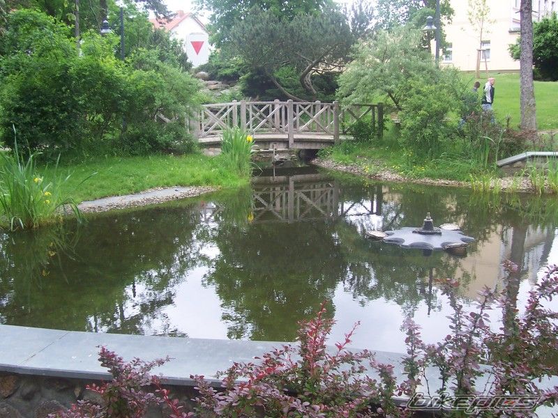 Photo 917892