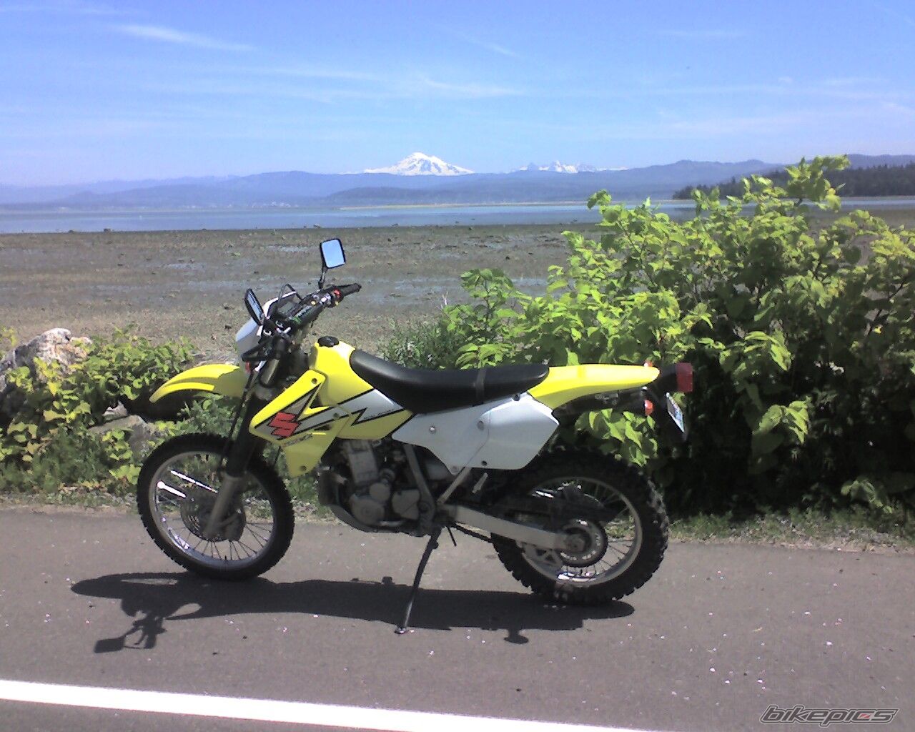 Photo 918012
