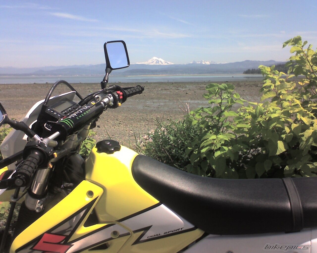 Photo 918026