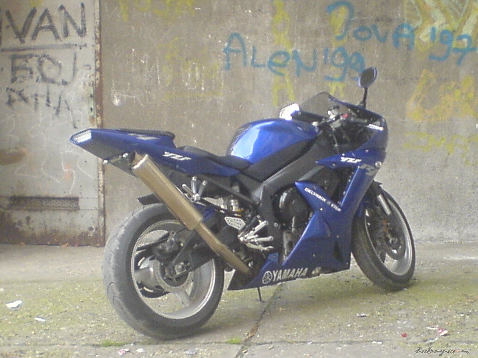 Photo 918039