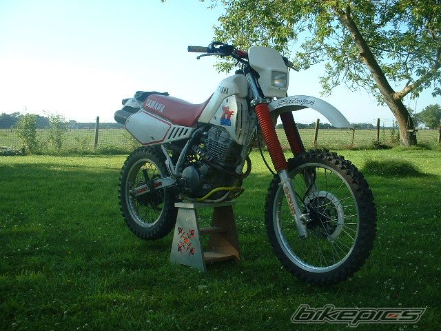 Photo 918096