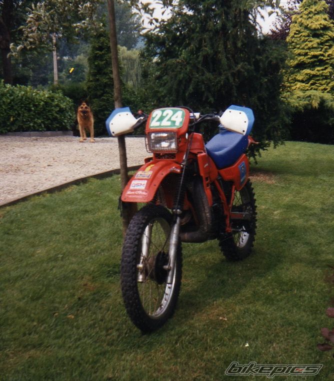 Photo 918149