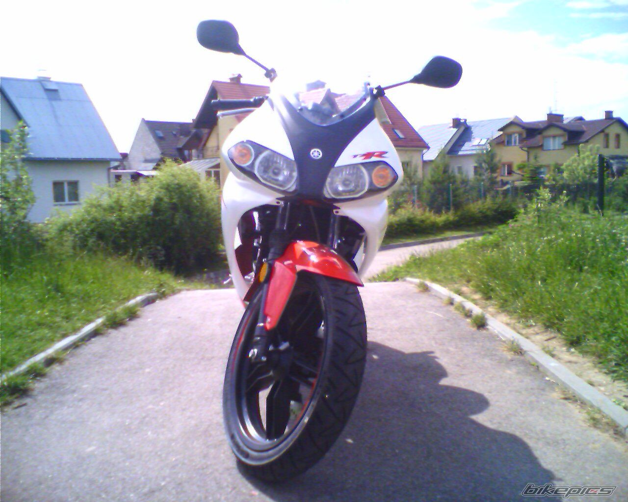 Photo 918385
