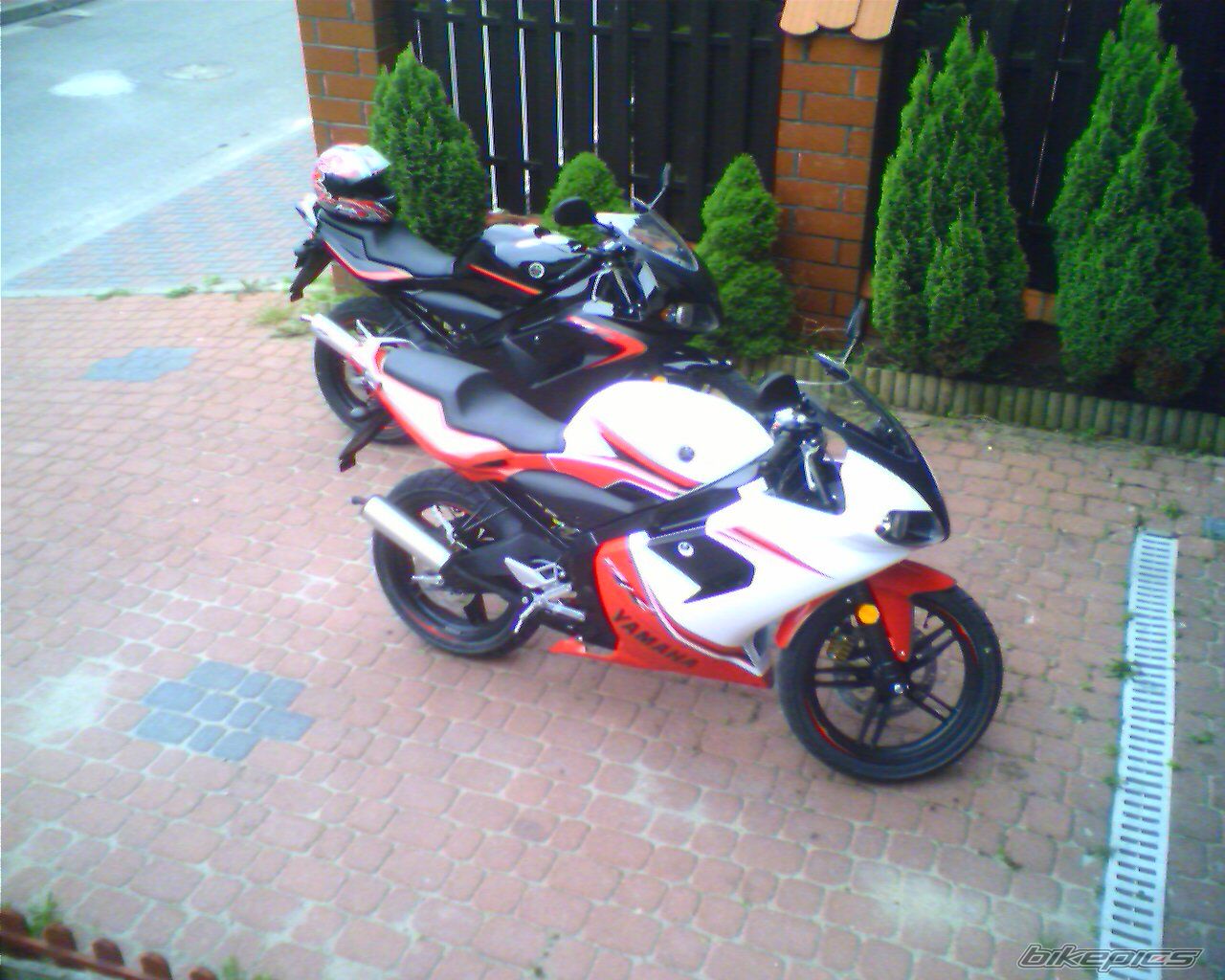 Photo 918392