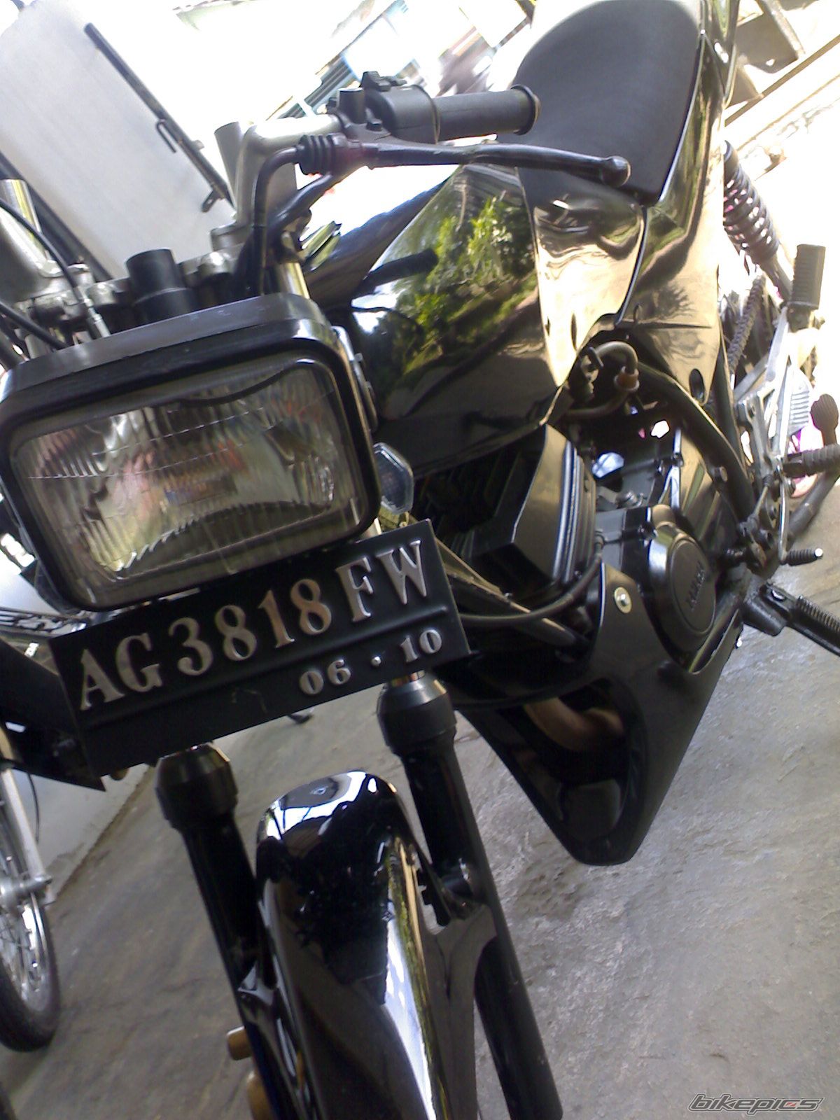 Photo 918431