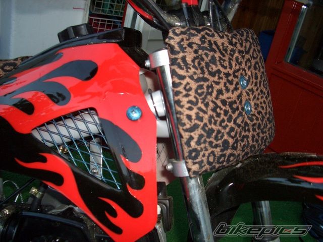 Photo 918554
