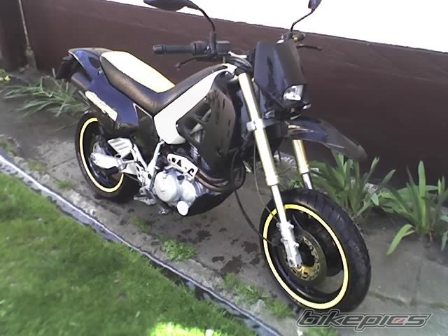 Photo 918608
