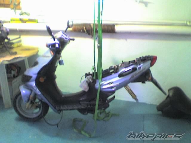 Photo 918628