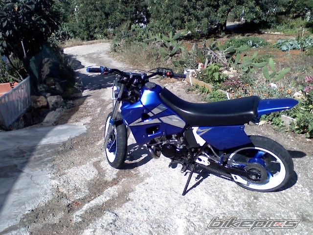 Photo 918663