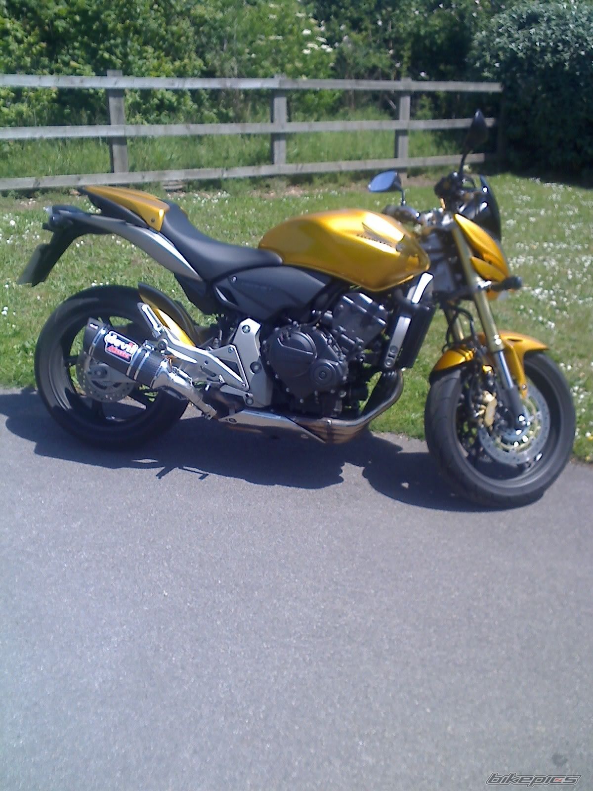 Bike Photo 918719