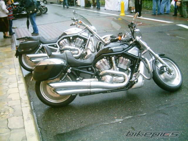 Photo 918818