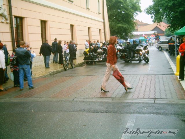 Photo 918819
