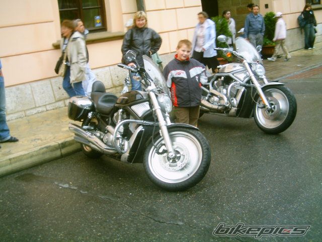 Photo 918821