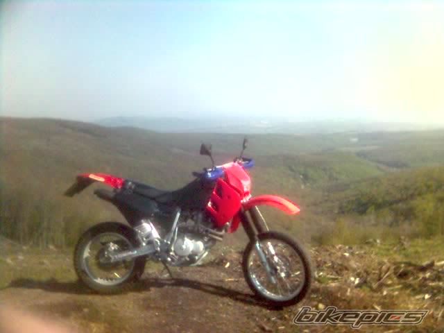 Photo 918906