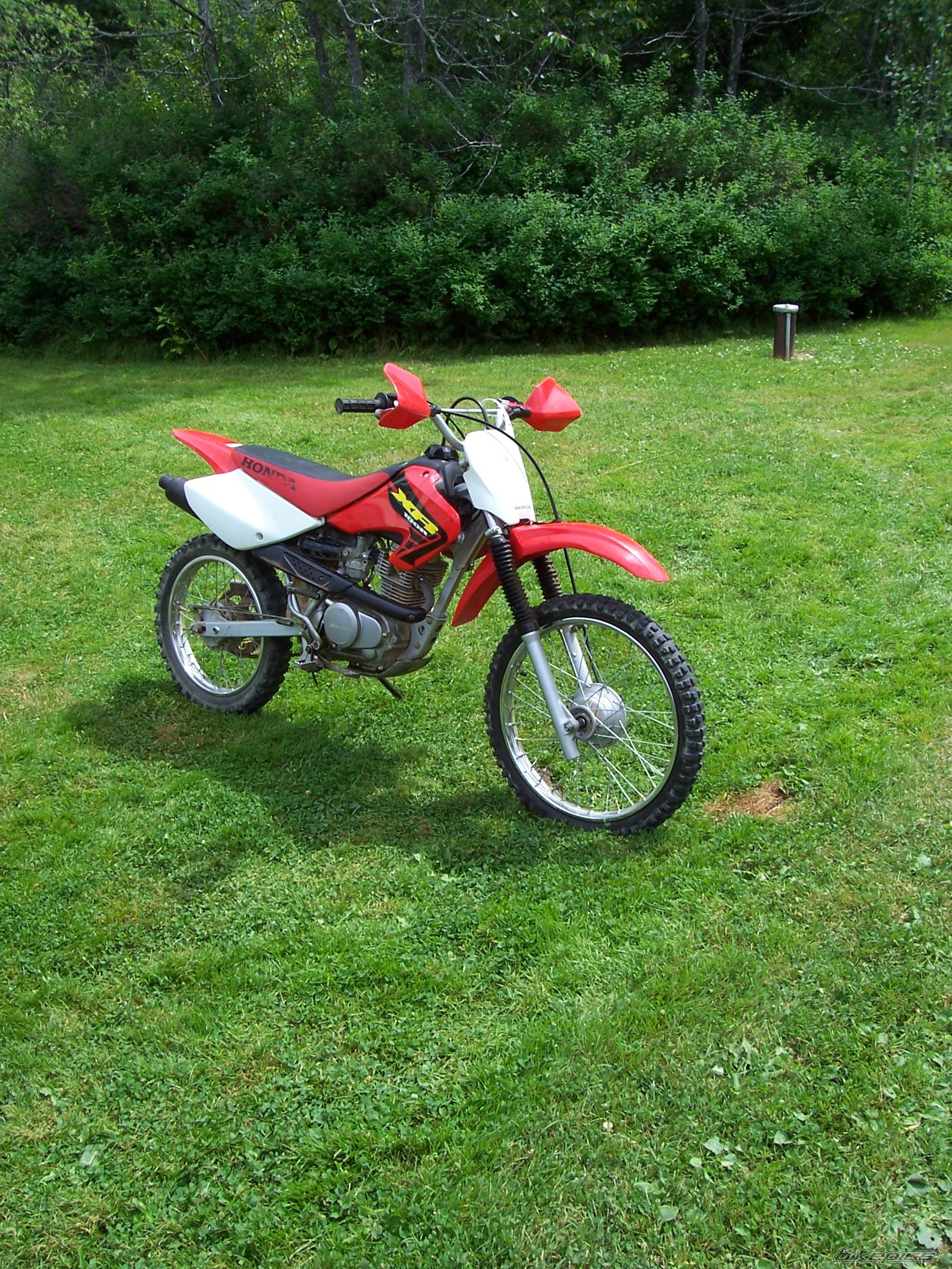 Photo 918969