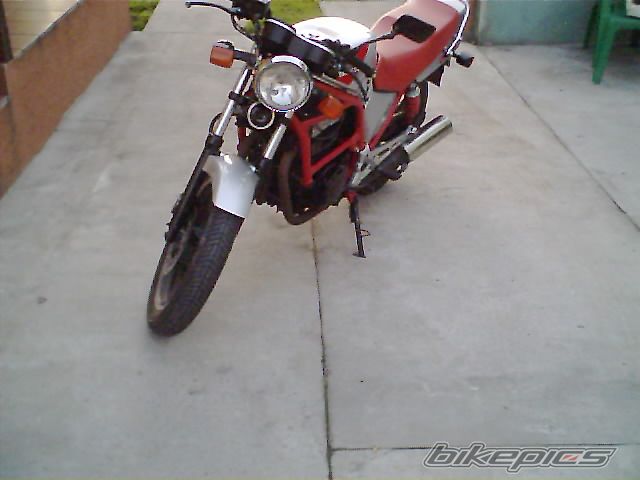 Photo 918983