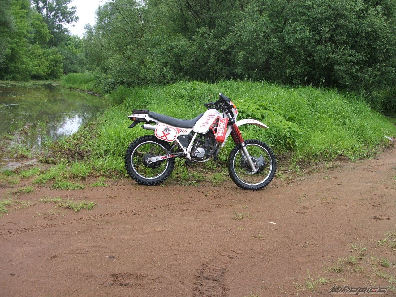 Photo 919003